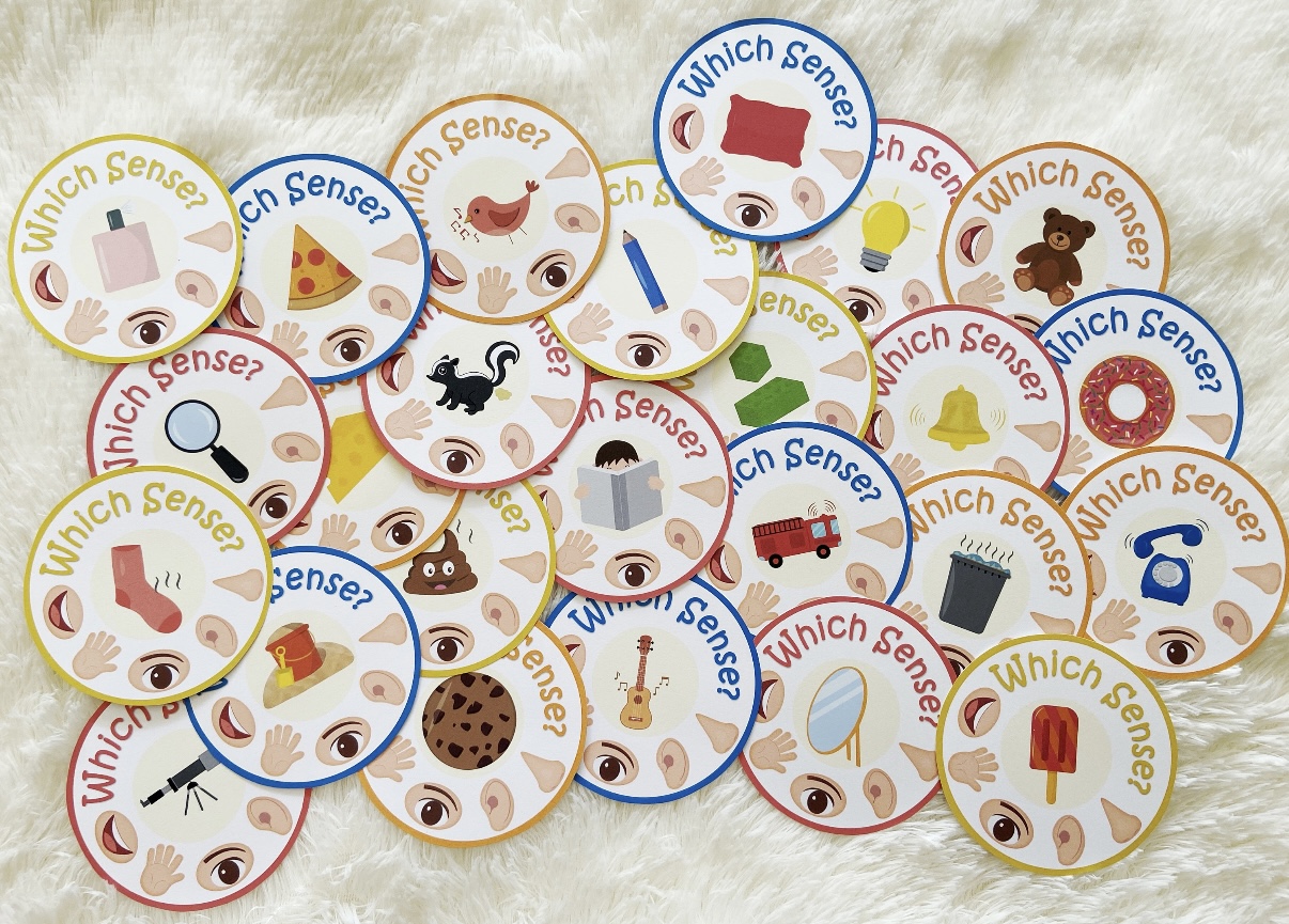 Five Senses Match – لعبة مطابقة الحواس الخمس للأطفال (Printable PDF)