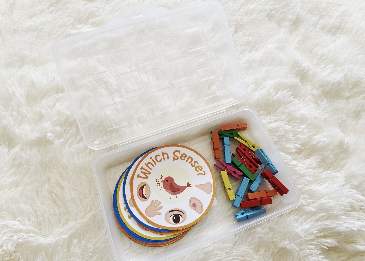 Five Senses Match – لعبة مطابقة الحواس الخمس للأطفال (Printable PDF)