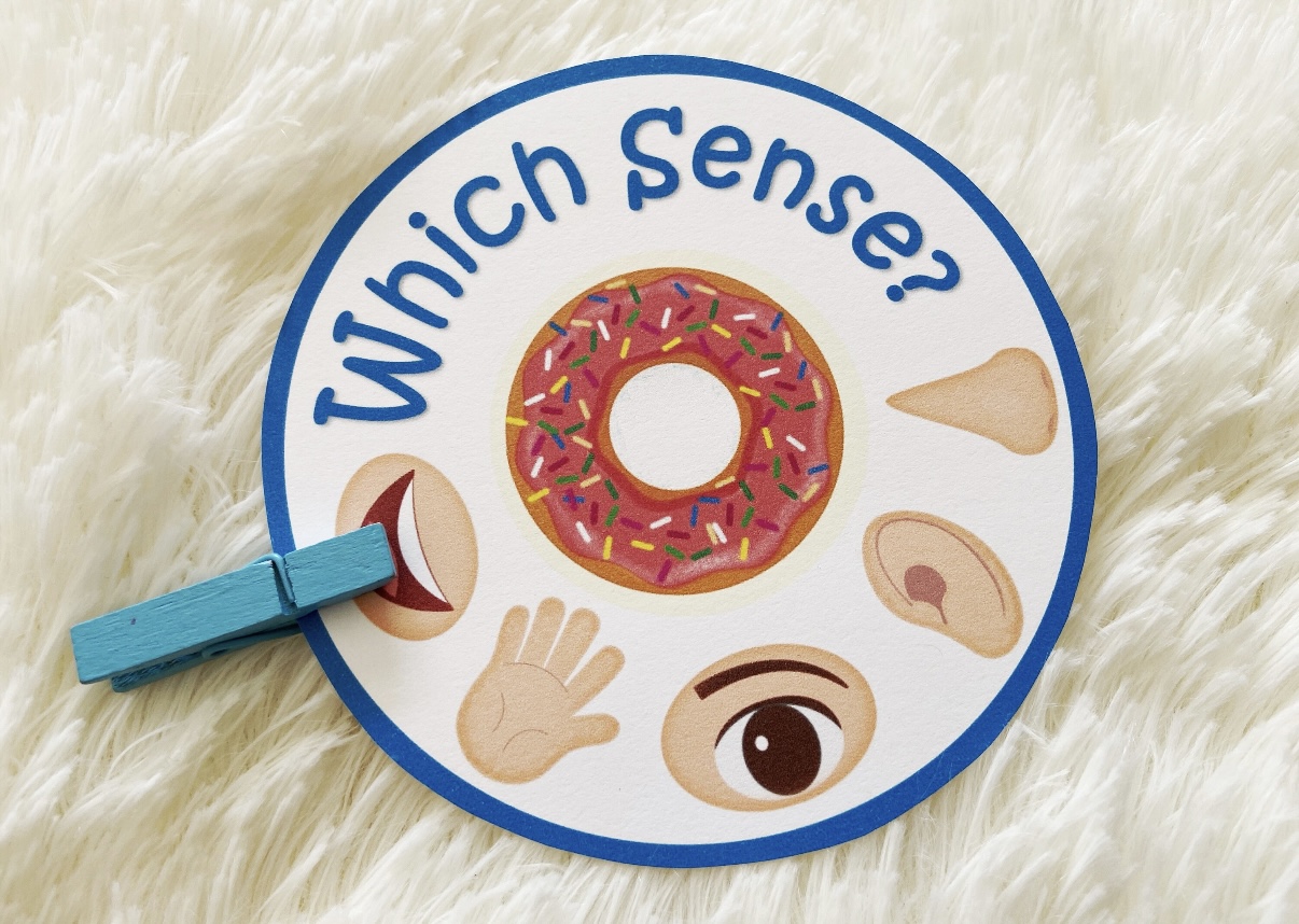 Five Senses Match – لعبة مطابقة الحواس الخمس للأطفال (Printable PDF)
